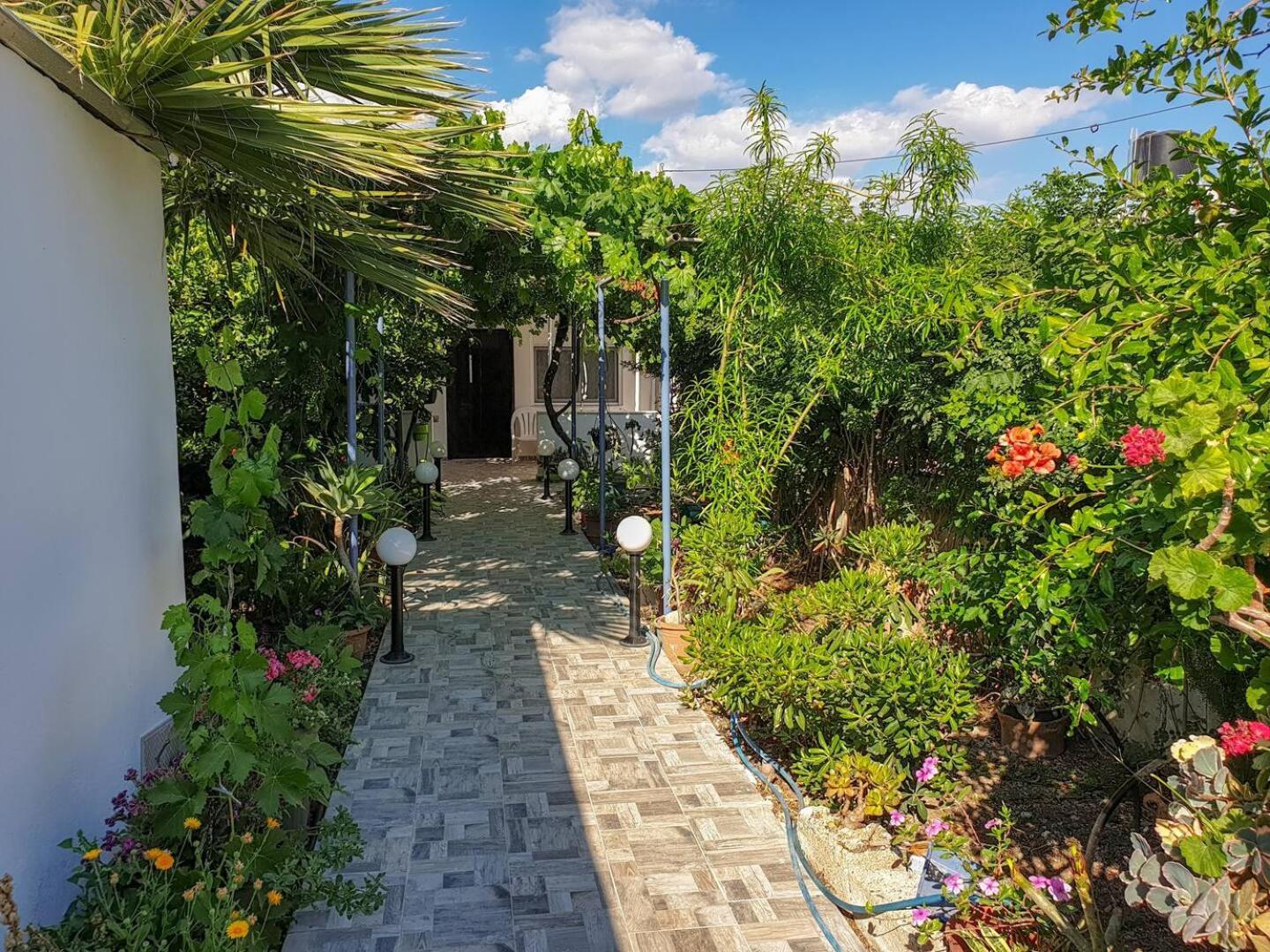 Maria'S House, With Garden Vila Kalamaki  Exterior foto