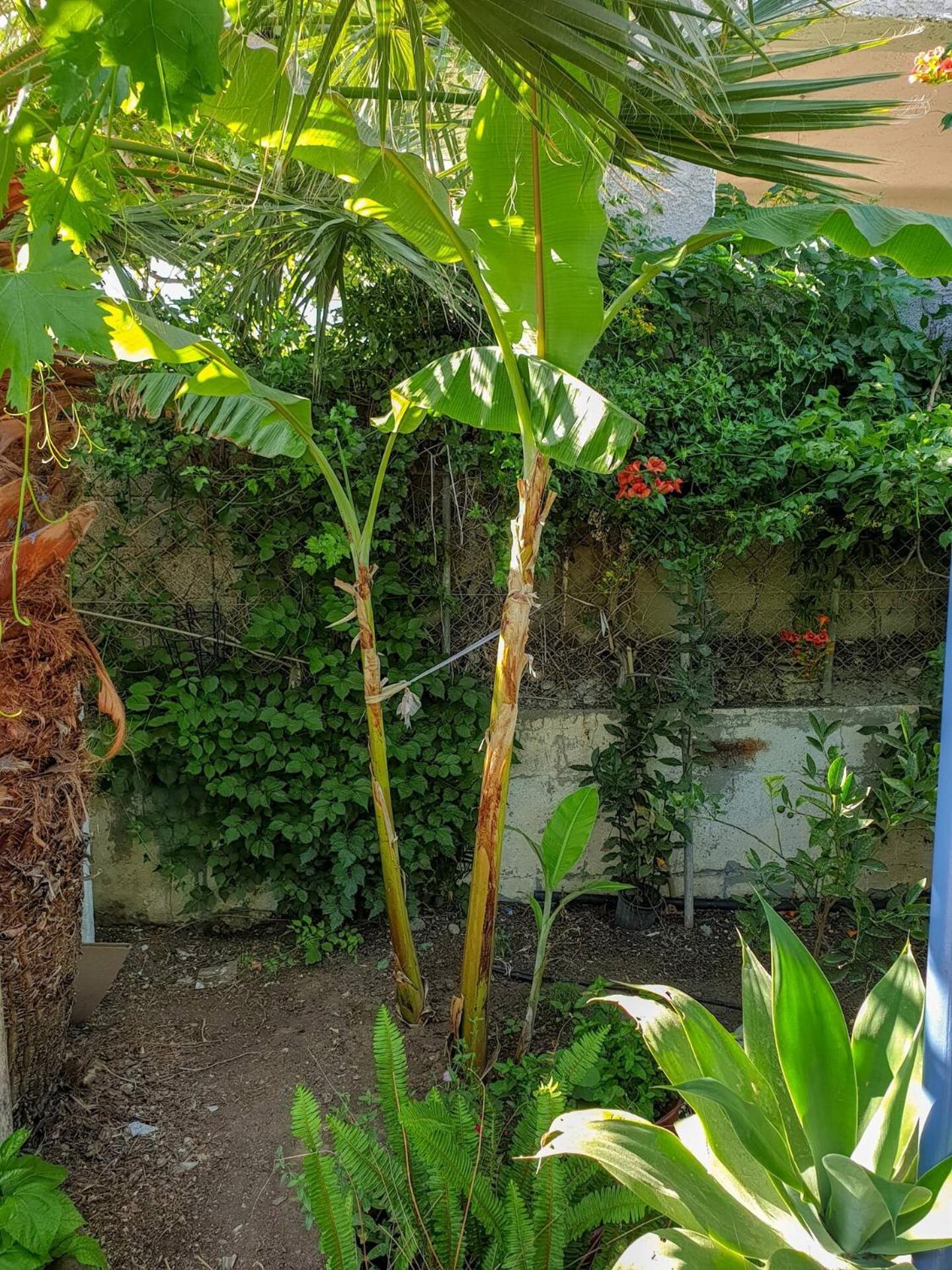 Maria'S House, With Garden Vila Kalamaki  Exterior foto